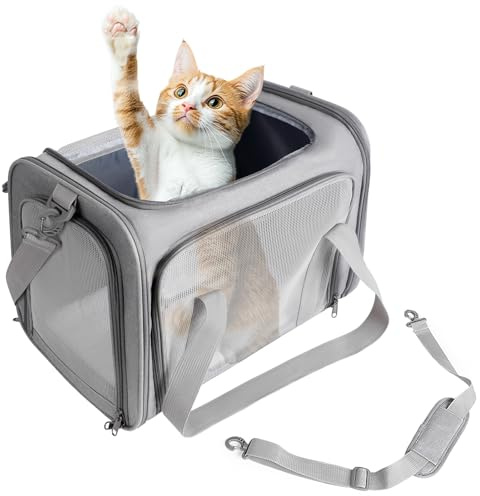 AiQInu Katzentransportbox Flugzeugtauglich, Faltbare Transportbox Katze mit Einstellbar Schultergurt, Hund Katzen Transporttasche Tragfähigkeit 3-6kg, für Kleine bis Mittelgroße