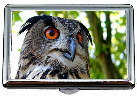 Zigarettenetui Brieftasche, Eule Dash Cam Eule Vogel, Visitenkartenetui Visitenkartenetui Edelstahl