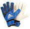 adidas Erwachsene Ace Torwarthandschuhe, Blue/Core Black/White/Shock Pink, 10