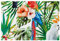 Tischsets waschbar für Küche Tischsets 6er Set,Moderne Tropische Dschungel Papageien Blume Hawaii