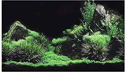NA Fish Tank Poster Backdrop PVC Adhesive Aquarium Background Sticker Seafloor Water Grass Pattern Wallpaper Decoration for Fish Tank