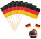 100 Stück Zahnstocher-Flaggen, 2024 Weltflaggen, Cocktail-Stäbchen, europäische Flaggen auf Stäbchen, Cocktail-Obst-Stäbchen, Cupcake-Topper, WM-Partyzubehör (Deutschland)