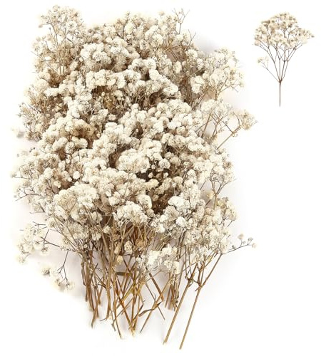 Schleierkraut Getrocknet, Weiß Getrocknete Blumen, Schleierkraut Trockenblumen zum Basteln, Trockenblumen Deko Mit Pinzette für DIY Hochzeitsdeko Kerze Harz Schmuck Lesezeichen, Grußkarten