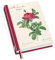 Redoutés Rosen Taschenkalender 2023 ‒ Terminplaner mit Wochenkalendarium ‒ Format 11,3 x 16,3 cm
