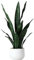 Beebel Künstliche Schlangenpflanze, 55,9 cm, künstliche Sansevieria, künstliche Agave, Topfpflanzen, Kunststoff, Grün für Zuhause, Garten, Büro, Laden, Dekoration, 12 Blätter (grün)