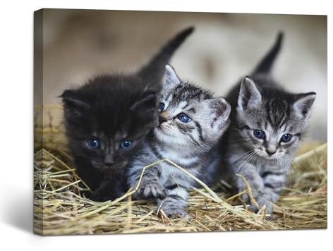 GagetElec Lienzo Personalizado con Foto,Fotos Personalizadas Con marco,Cuadros Personalizados con Foto para Familiares,Amigos,Mascotas