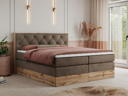 MKS MEBLE King Boxspringbett 160x200 mit Kopfteil und Bettkasten, Polsterbett mit Matratze H4 und Topper T25, Wotan Eiche Dekor - Braun Velvet - Veneto King