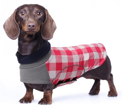 babepet Wasserdichter Wintermantel für kleine Hunde, Dackel-Colthes, Miniatur-Dackel-Jacke, Hundemantel mit Geschirrloch, Haustierkleidung, ideal zum Spazierengehen, Wandern, Camping, Größe M