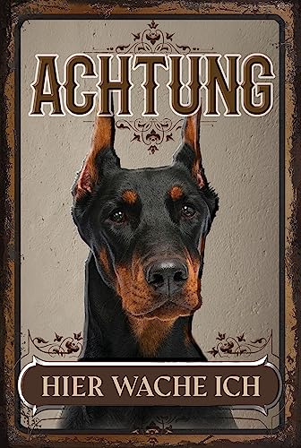 30 x 20 cm wetterfestes Blechschild, Warnhinweis, Torschild, Achtung, hier Wache ich! Warnung vor dem Hund (Dobermann 1)
