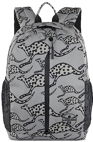 Chiemsee Jump N Fly Rucksack klein mit 13 Laptopfach unisex aus recyceltem PET, grau