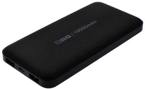 2GO Powerbank Basic 10000mAh 2X USB inkl. Micro-USB Kabel