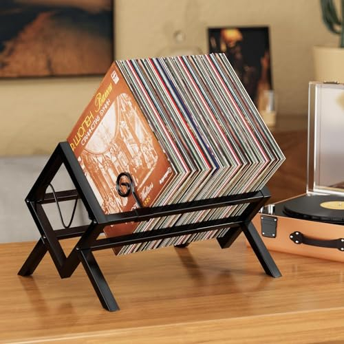 JANE EYRE Supporto per Dischi in Vinile - 80-100 LP Supporto per Dischi in Metallo Porta Vinile Scaffale per Album Audio Espositore CD per Soggiorno, Ufficio, Sala Giochi e Studio, Nero