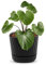 alqua 21CM Square Self Watering Plant Pot – Black Plastic Flower Pot with Drainage – Large Modern Matte Planter for Indoor & Outdoor Use – Decorative Garden Container – Stylish Plant Pot