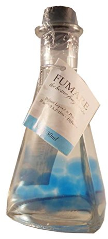Raumduft mit Perlen - Diffuser mit 6 Stäbchen - 50ml Duftöl Lufterfrischer verschiedene Düfte (Ocean)