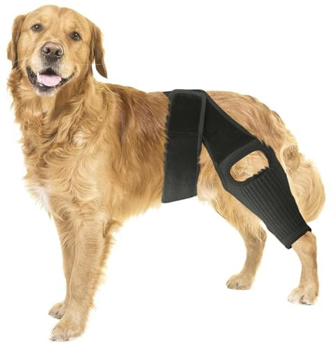 RUYICZB Beinschiene Für Hunde, Knieschiene Für Hunde Bei Kreuzbandriss, Hüftdysplasie, Arthritis, Patellaluxation, Unterstützung Der Vorder- Und Hinterbeine, Bequem Und Verstellbar,L