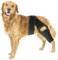 RUYICZB Beinschiene Für Hunde, Knieschiene Für Hunde Bei Kreuzbandriss, Hüftdysplasie, Arthritis, Patellaluxation, Unterstützung Der Vorder- Und Hinterbeine, Bequem Und Verstellbar,L