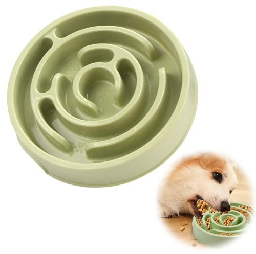 tiyiyok Gamelle Anti Glouton Chat Chien, Alimentation Lente, Favorise la Digestion de l'animal, pour Petits, Moyens, Grands, Animaux de Compagnie, pour Wet, Dry Food, Vert