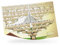 Arbre genealogique à remplir - Generama 10 generations