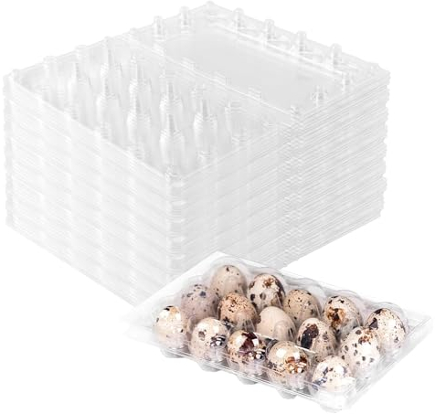 NAMYEUT 40 Stück Wachteleierschachteln 15er Plastik, 15 Gitter Kunststoff Wachtelei Kartons PVC Eierhalter, Transparente Eierschachteln mit Deckel für Wachteleier Packungen