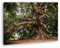deyoli Alter Olivenbaum Format: 120x80 als Leinwand, Motiv fertig gerahmt auf Echtholzrahmen, Hochwertiger Digitaldruck mit Rahmen, Kein Poster oder Plakat