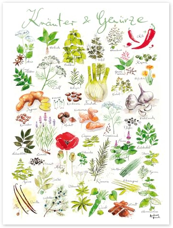Kräuter & Gewürze Poster von Andreas Hirsch 30 x 40 cm Wandbilder Wanddeko