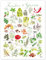 Kräuter & Gewürze Poster von Andreas Hirsch 30 x 40 cm Wandbilder Wanddeko