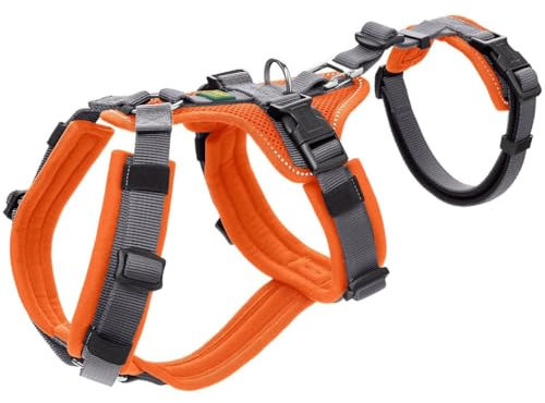 Sicherheitsgeschirr Maldon Farbe orange/grau, Größe XS