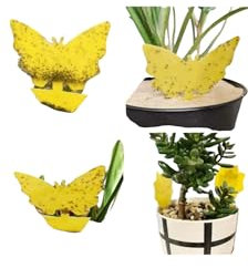 Autocollants Anti-Moucherons pour Plantes – Lot de 20 Pièges Jaunes Écologiques | Protège Vos Plantes d’Intérieur et d’Extérieur | Facile à Utiliser et Sans Produits Chimiques