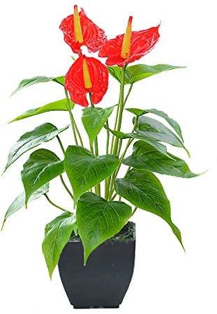 Beebel Künstliche Calla-Lilie, rote Kunstblume, künstliche Topfpflanze mit schwarzem Topf, 38,1 cm, für Zuhause, Büro, Innen- und Außenbereich, Dekoration