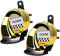2 Stück Air Hupe 12v 300DB, Auto Signalhorn Extrem Laut, Autohupe Fanfare Druckluft, Schneckenlufthorn für Lkw Motorrad, Horns für Trucks Roller Boot Motorcycle Electric Car Hupe (Gold)