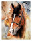 Zomer Kuscheldecke 150x200 cm hochwertige weich und warm Wohndecke Decke Fleecedecke als Tagesdecke Sofadecke mit Ahornblatt und Pferd Muster