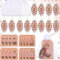 Shappy 12 Sets Weihnachts-Tannenzapfen Glasornamente Glitzer Tannenzapfen Weihnachtsbaum hängende Ornamente Geschenke mit Etiketten und Organza-Beuteln für Herbst Thanksgiving Weihnachten DIY Handwerk