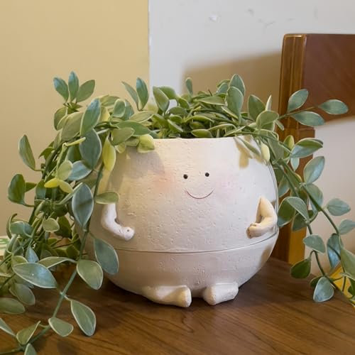 NINIPAPA Self Watering Plant Pot 4 Inch Cute Smile Face Planter Pot for Indoor Outdoor Plants with Drainage Hole Unique Flower Pots for Succulent/Herbs/Violets