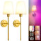 Gaethra Applique da Parete Interno Ricaricabile USB, E27 Lampade Senza Corrente, Lampada da Parete Senza Fili Dimmerabile RGB con Telecomando, per Scale, Corridoio, Soggiorno, Camera Letto, 2 Pezzi