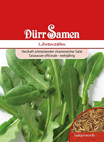 Löwenzahn Samen Löwenzahnsamen ca 100 Korn Heilkräuter Kräutersamen Heilpflanze Kaninchenfutter Saatgut Balkon Garten Hochbeet Kübel Dürr Samen