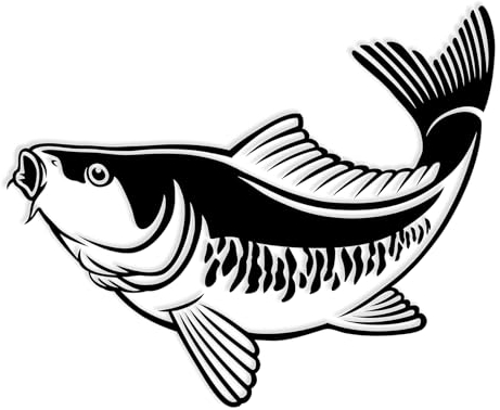 Finest Folia Fisch Aufkleber für Auto Motorrad Boot Schlauchboot Angelbox Sticker Autoaufkleber Angler Fische selbstklebend wetterfest wasserfest K174 (Schwarz Glanz, Motiv 09)
