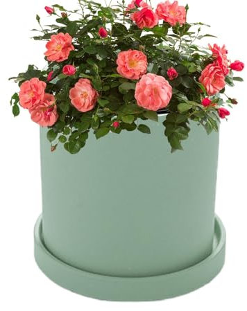 Pflanztopf mit Tablett – Keramik-Pflanzgefäß mit Drainage, Zylinder-Pflanzgefäß für den Innenbereich | Bodenpflanzgefäß für den Innenbereich mit Tablett, Pflanzbehälter für Sukkulenten und Erdbeeren z