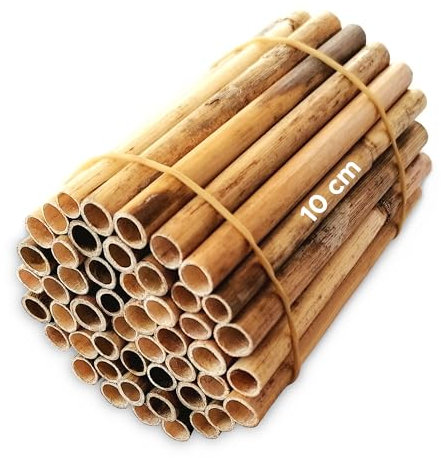 Schilfrohre, 10 cm lang, 50 Stück, saubere Öffnungen, unzerbrochen, naturbelassen, Schilfhülsen für Bienenhaus und Insektenhaus (Kleinunternehmer gem. §19 UStG) (Braun, 10 cm - 50 Stück)