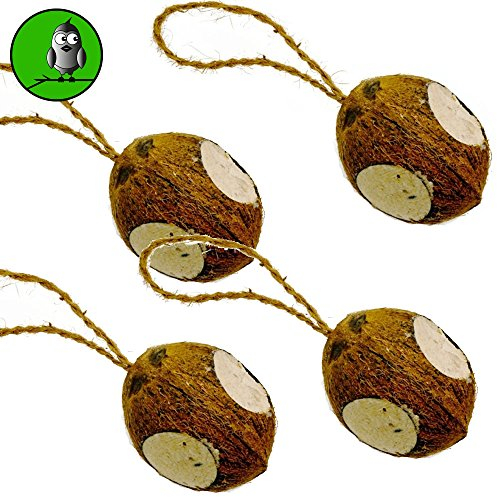 4 ganze Kokosnüsse zum aufhängen gefüllt mit Sämereien, Öle/Fette und Mineralstoffen Vogelfood von Samore Vogelfutter wie Meisenknödel