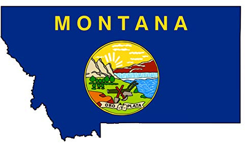 Stickerpalast Auto Aufkleber Montana US Bundestaat Sticker Konturgeschnitten (ca 11 cm)