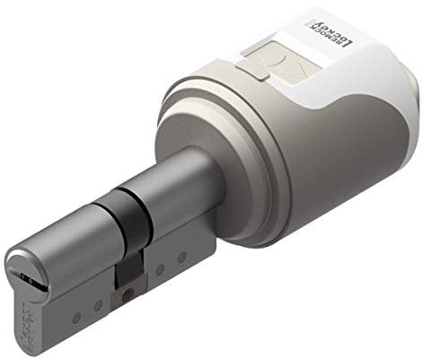 Remock MAGIC Serratura elettronica intelligente con cilindro 30x40 mm in colore nichel e 5 chiavi meccaniche, anti-bumping, anti-picking e anti-perforazione | Ideale per appartamenti turistici!