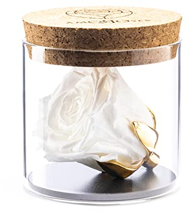 Amoroses Bijou - Rosa Stabilizzata Eterna con Calice Placcato Oro 24K in Barattolo di Vetro | Idea Regalo (Rosa Bianca)