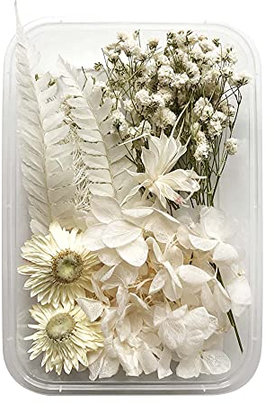 Uposao Natürliche Getrocknete Blumen, DIY Gepresste Blumen Gemischte Getrocknete Blätter Blumen Set für Epoxidharz Deko,Kunst Basteln DIY Harz Scrapbooking Handwerk Karten Machen Zimmer Tischdeko