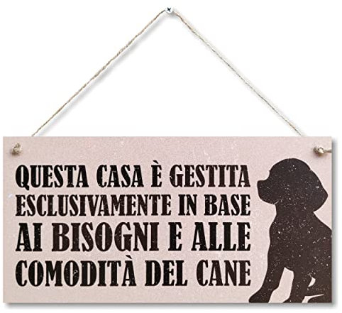 CARISPIBET Questa casa è | segni decorativi di benvenuto targhe decorazione della casa decorazioni interne 15 x 30 cm
