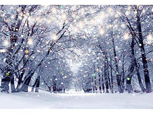 Xiaoterna 2,5x1,8m Winter Schnee Schauplatz Kulissen Wunderland Schneeflocke Buntes Glitzern Verschneite Waldkulisse Weihnachtsfeier Kulisse Weiße Welt Weihnachten Kinder Urlaub Party Dekoration