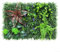 Plantas cuadradas de plástico para césped verde artificial para decoraciones únicas de pared del hogar (#3)