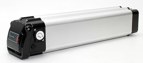 Batterie pour Vélo Électrique 24V 10Ah 20Ah, Batterie Haute Puissance pour Vélos Électriques De 1000W À 200W avec Chargeur 24V,10AH
