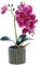 Plantas Falsas Flora Artificial Decorativa 12.6 Pulgadas De Alto Planta De Orquídea Artificial Realista En Una Maceta Bonsai Decorativo De Tacto Real Flores Falsas Flores Artificiales En Jarrón