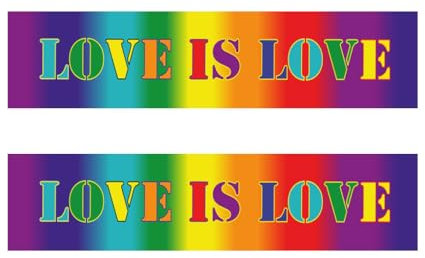 Set of 2 x Love is Love Iron on Transfer for Fabric LGBTQ Gay Pride Month Human