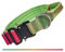 TSPRO Premium Collier pour Chien, Réglable Collier Tactique Chien avec Poignée et Une Solide Boucle Métallique à Libération Rapide, pour Chiens de Taille Moyenne à Grande (Vitalité Dégradé M)